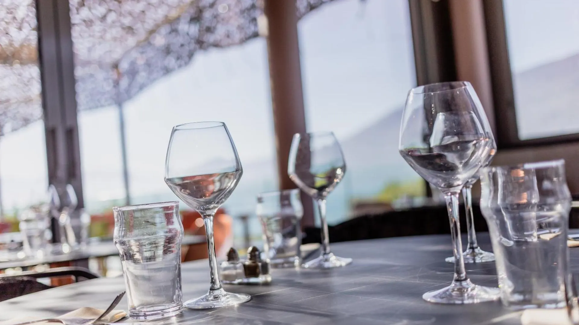 Best Western Aquakub Aix-les-Bains Hotel